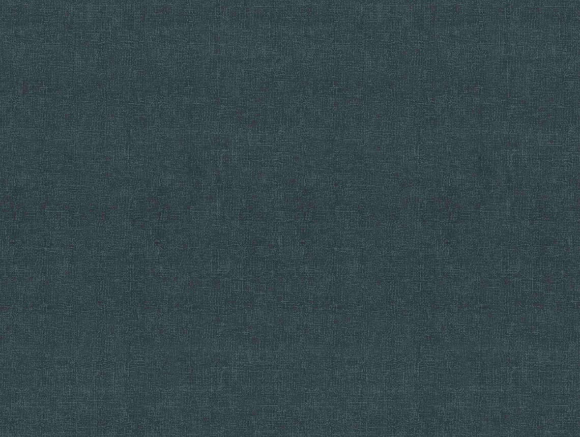 Flotex Colour у рулоні - s246024 Metro carbon